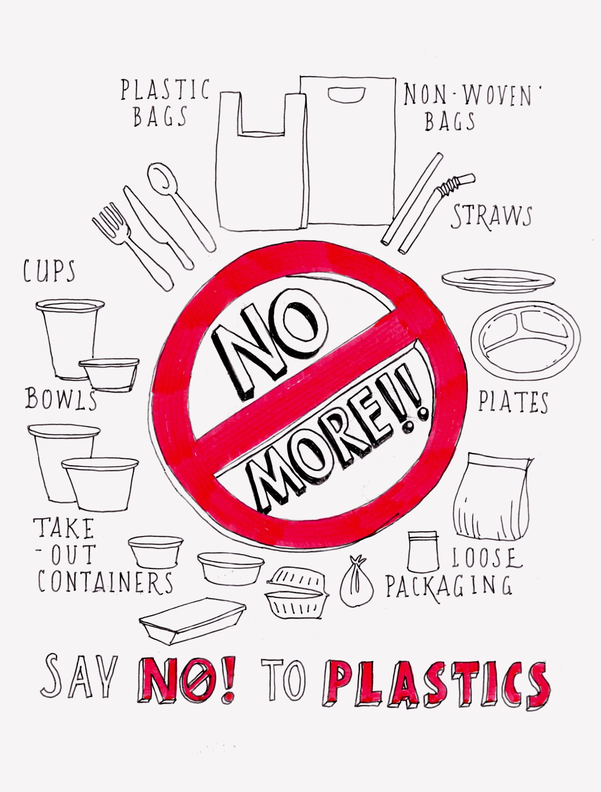 Analysis of the ban on plastic