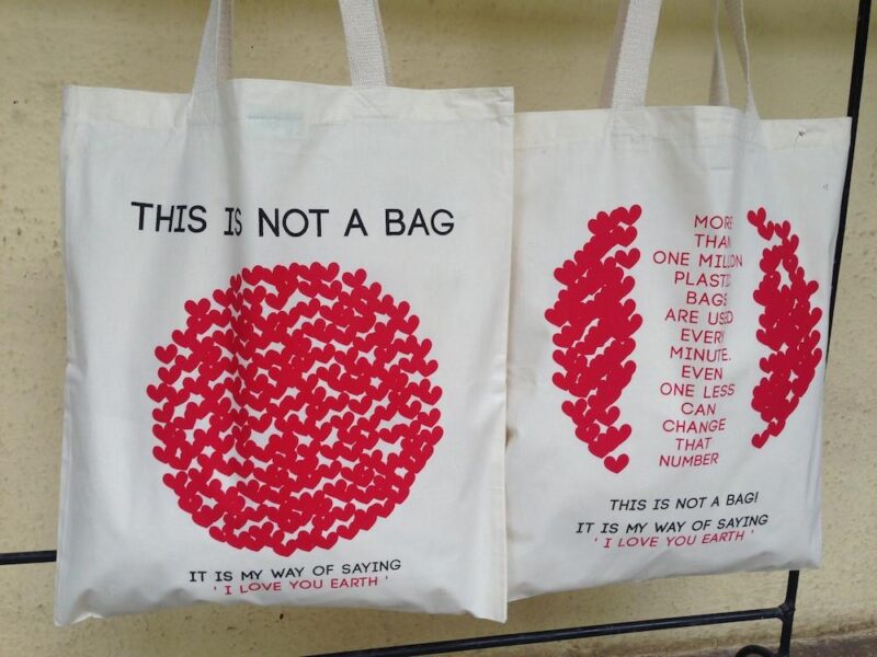 Cotton Bag: 15 x 17: This is not a bag : I love you Earth