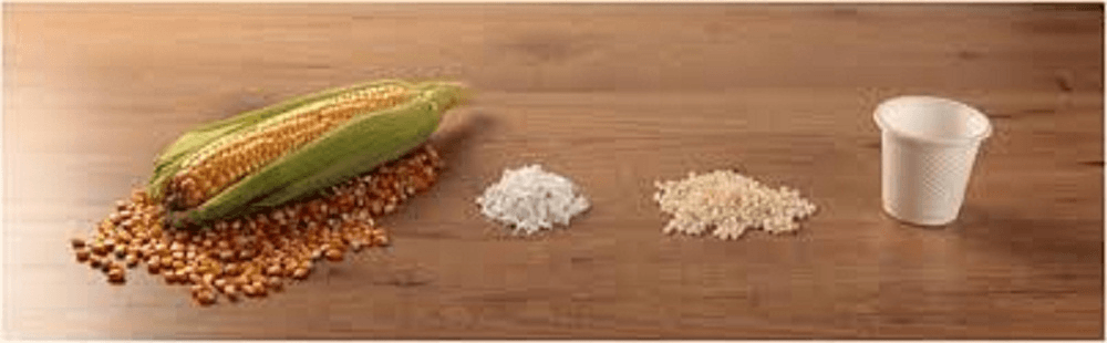 Bioplastics