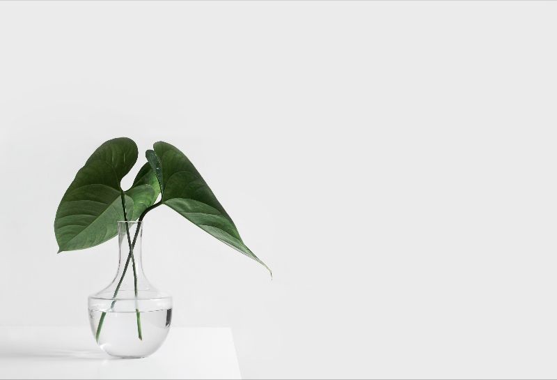 Frugality and Innovation