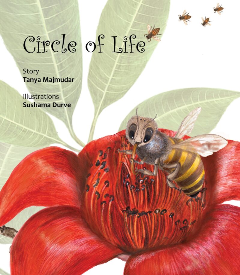 Childrens Books: Circle of Life