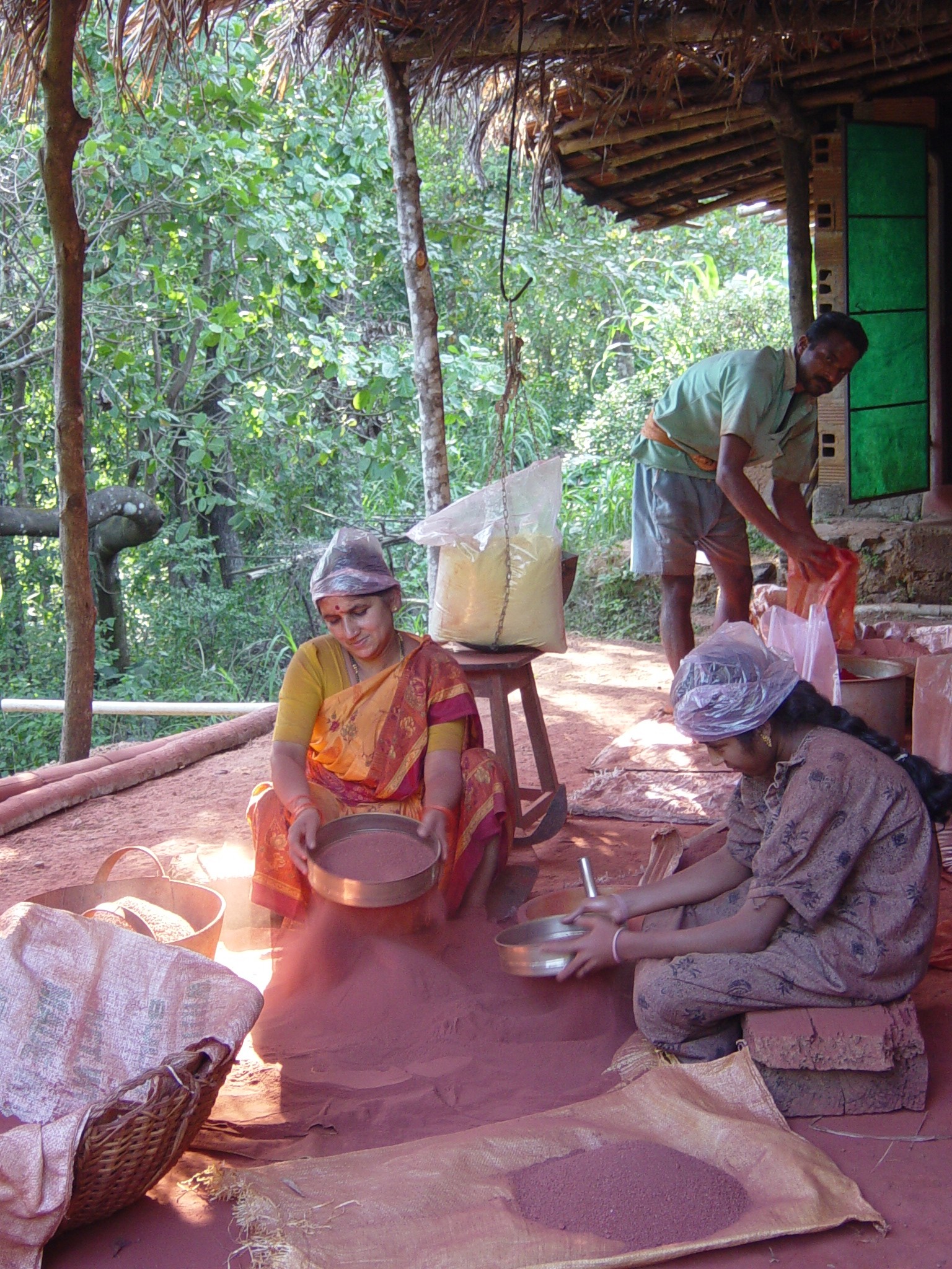 Malnad Seed 1