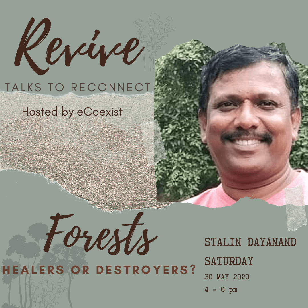 Revive Talks posters (4)
