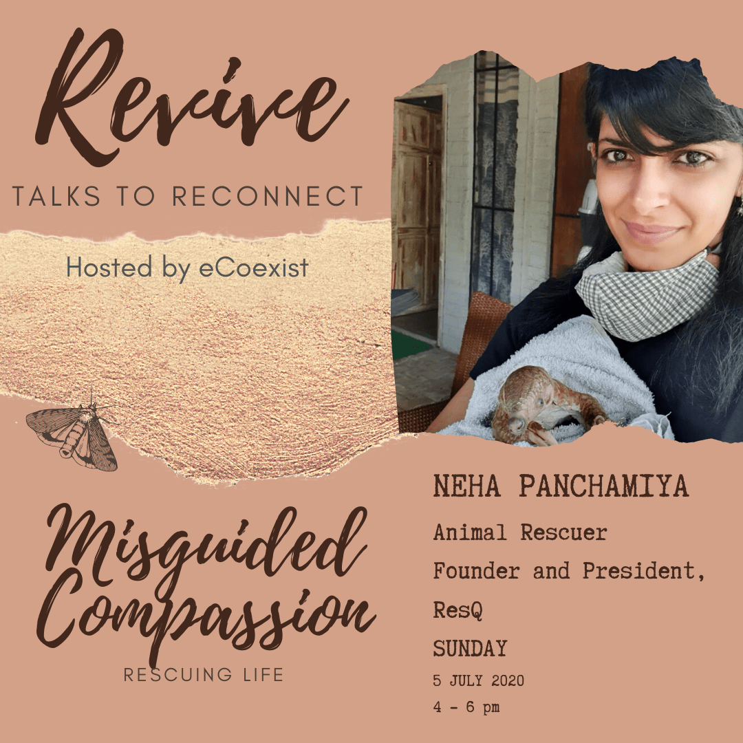 Copy of Revive Talks posters