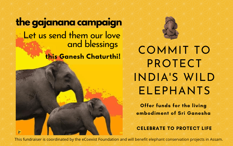 Gajanana campaign large (1)