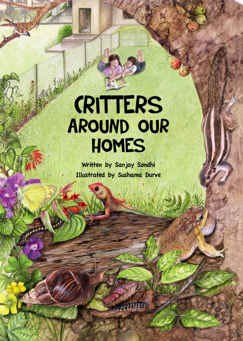 Childrens Books: Critters around our homes