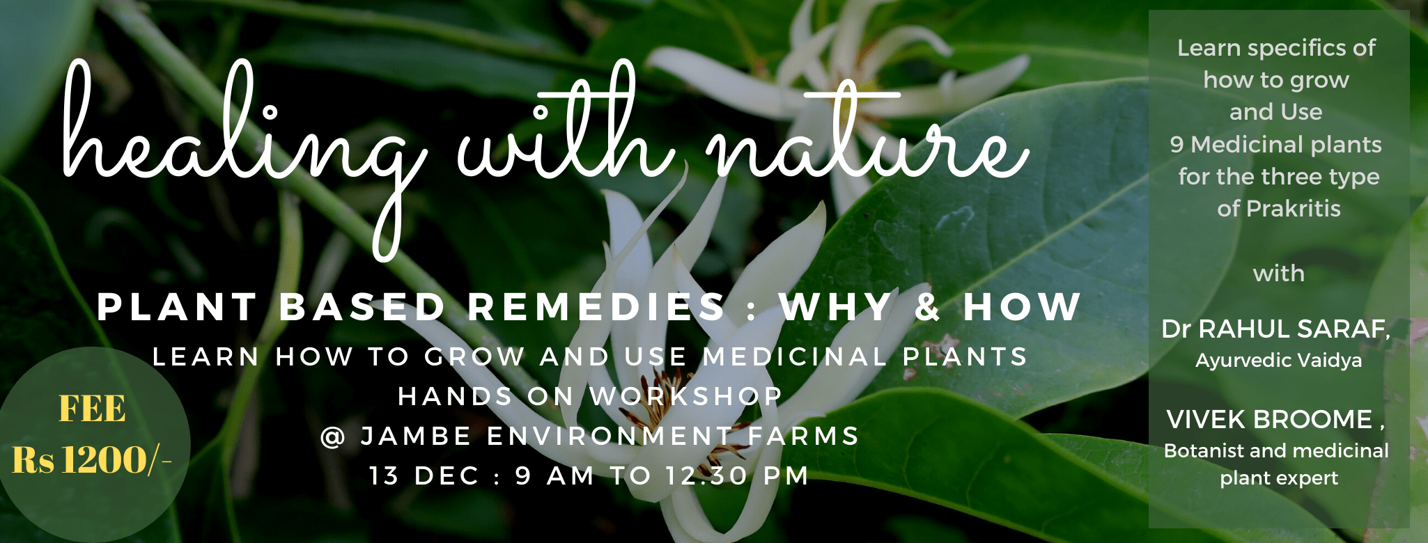Healing w Nature-2020