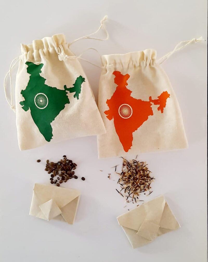 Desi Seed Pouch