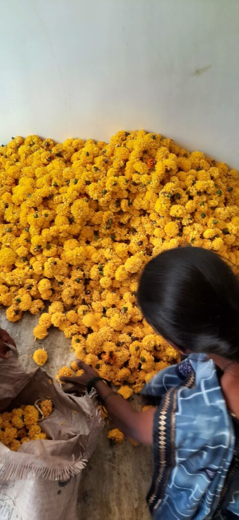 PV flowers seggregation