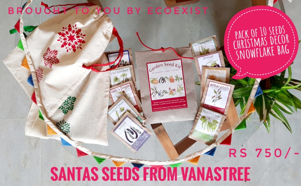 Santas Seeds for a fresh new year!